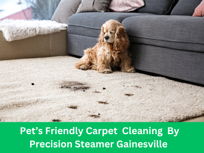 Carpet Cleaning Gainesville